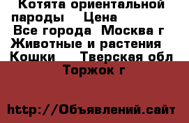 Котята ориентальной пароды  › Цена ­ 12 000 - Все города, Москва г. Животные и растения » Кошки   . Тверская обл.,Торжок г.